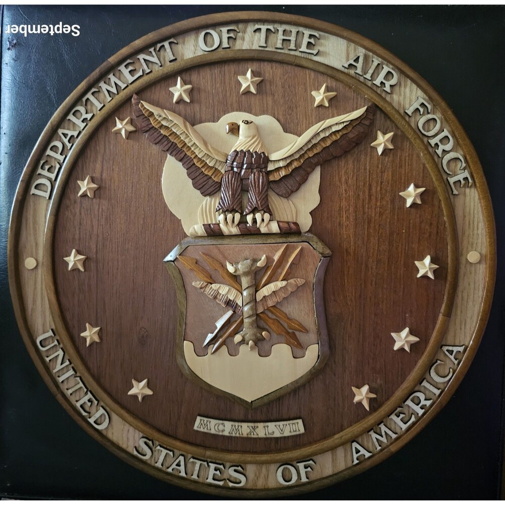 Round Sculpted Wood Wooden Air Force Commemorative Plaque 13 Inches Across
